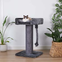 100cm Cat Scratching Post with Bed